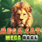 mega cats